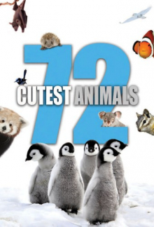 72 Cutest Animals, Cover, HD, Serien Stream, ganze Folge