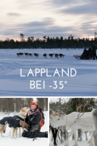 Cover Abenteuer Lappland - Die Husky-Tour des Lebens, Poster