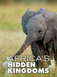 Africa's Hidden Kingdoms Cover, Poster, Blu-ray,  Bild