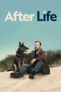Cover After Life, Poster