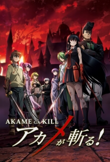 Akame ga Kill!, Cover, HD, Serien Stream, ganze Folge