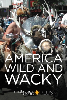 America: Wild & Wacky, Cover, HD, Serien Stream, ganze Folge