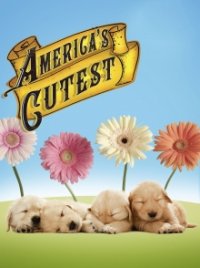 Cover America's Cutest, Poster