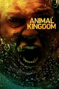 Cover Animal Kingdom, Poster