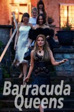 Cover Barracuda Queens, Poster, Stream