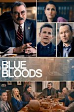 Cover Blue Bloods - Crime Scene New York, Poster, Stream