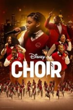 Cover Choir, Poster, Stream