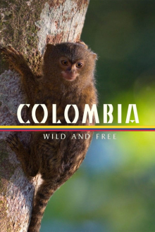 Colombia - Wild and Free, Cover, HD, Serien Stream, ganze Folge