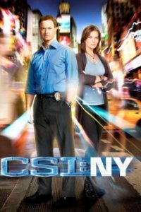 CSI: NY Cover, Poster, CSI: NY DVD