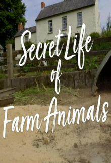 Der Bauernhof – Die faszinierende Welt der Tiere, Cover, HD, Serien Stream, ganze Folge