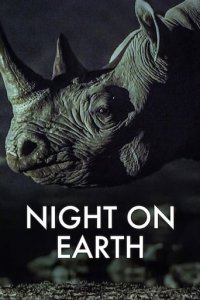 Cover Die Erde bei Nacht, Die Erde bei Nacht