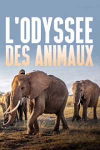 Die Odyssee der Tiere Cover, Poster, Blu-ray,  Bild