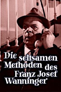 Cover Die seltsamen Methoden des Franz Josef Wanninger, Poster