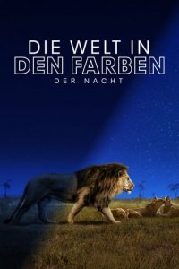 Cover Die Welt in den Farben der Nacht, Poster