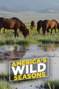 Cover Die Wildnis der USA: Vier Jahreszeiten, Die Wildnis der USA: Vier Jahreszeiten