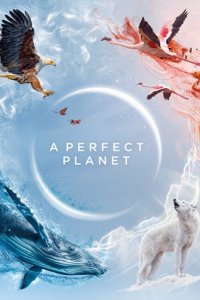 Ein perfekter Planet Cover, Online, Poster