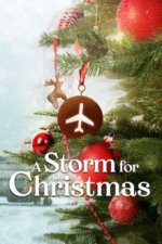 Cover Ein Sturm zu Weihnachten, Poster, Stream