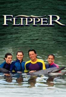 Flippers neue Abenteuer, Cover, HD, Serien Stream, ganze Folge