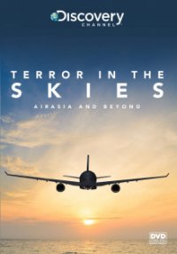 Flugzeugabstürze hautnah Cover, Poster, Blu-ray,  Bild
