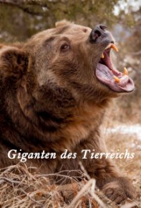 Giganten des Tierreichs Cover, Poster, Blu-ray,  Bild