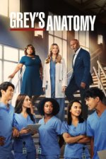 Cover Grey's Anatomy - Die jungen Ärzte, Poster Grey's Anatomy - Die jungen Ärzte