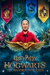 Cover Harry Potter: Hogwarts Tournament of Houses, Poster