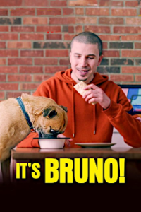 Cover It's Bruno!, TV-Serie, Poster