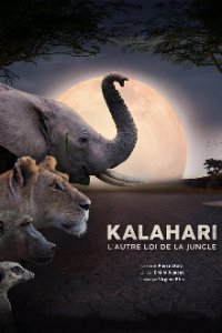 Kalahari: Land der geheimen Allianzen Cover, Poster, Blu-ray,  Bild