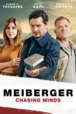 Cover Meiberger - Im Kopf des Täters, Poster, Stream