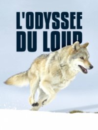 Mit den Augen des Wolfes – Auf Streifzug durch Europa Cover, Poster, Blu-ray,  Bild