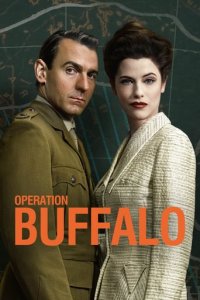 Cover Operation Buffalo, Operation Buffalo