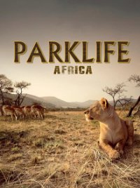Cover Parklife: Afrika, Poster Parklife: Afrika