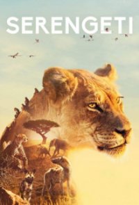 Cover Serengeti, Poster Serengeti