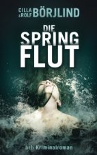 Cover Springflut, Poster, Stream