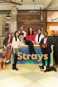 Strays Cover, Poster, Strays DVD