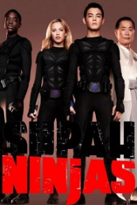 Cover Supah Ninjas, TV-Serie, Poster
