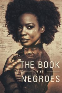 The Book of Negroes Cover, Poster, The Book of Negroes DVD