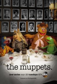 The Muppets Cover, Online, Poster