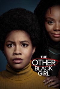 The Other Black Girl Cover, Poster, The Other Black Girl DVD
