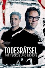 Cover Todesrätsel mit Tsokos und Liefers, Poster, Stream