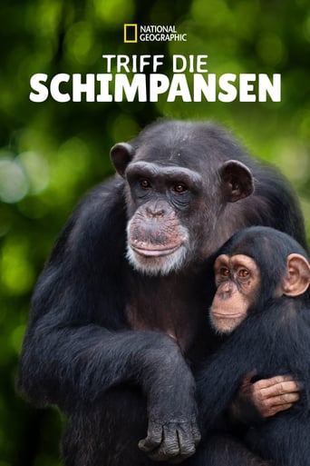 Triff die Schimpansen, Cover, HD, Serien Stream, ganze Folge