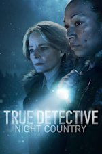 Cover True Detective, Poster, Stream