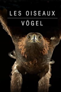 Cover Vögel, TV-Serie, Poster