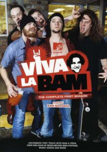 Cover Viva la Bam, Poster
