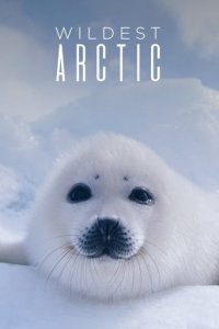 Cover Wilde Arktis, Poster Wilde Arktis