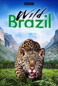 Cover Wildes Brasilien, TV-Serie, Poster