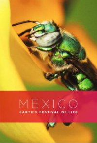Wildes Mexiko Cover, Poster, Wildes Mexiko DVD