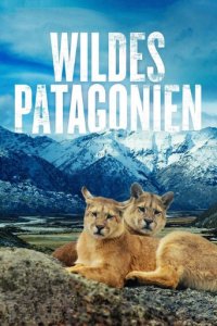 Wildes Patagonien Cover, Online, Poster
