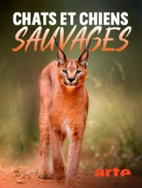Wildkatzen und Wildhunde Cover, Poster, Wildkatzen und Wildhunde