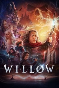 Cover Willow, Poster Willow